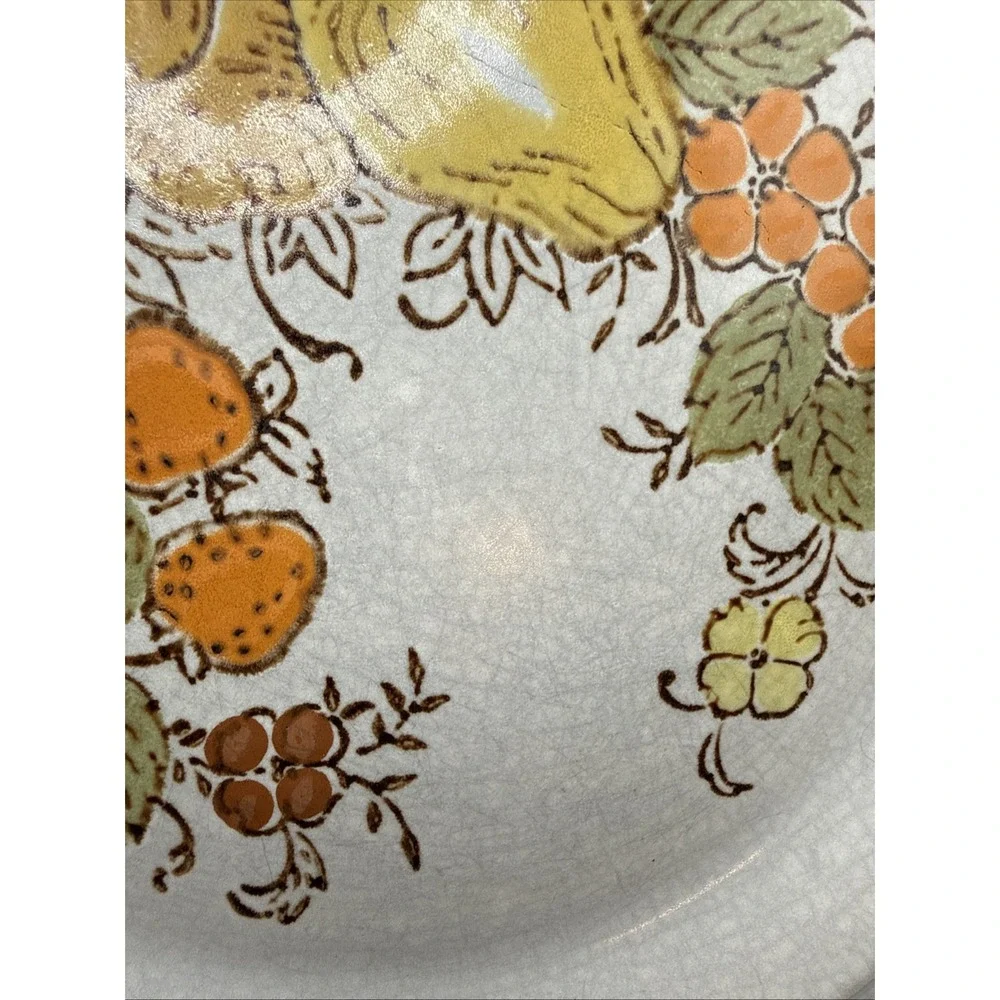 Vtg Harvest Collection Stoneware 'Valley Fruits' Set of 6 Dinner Plates, 10.75